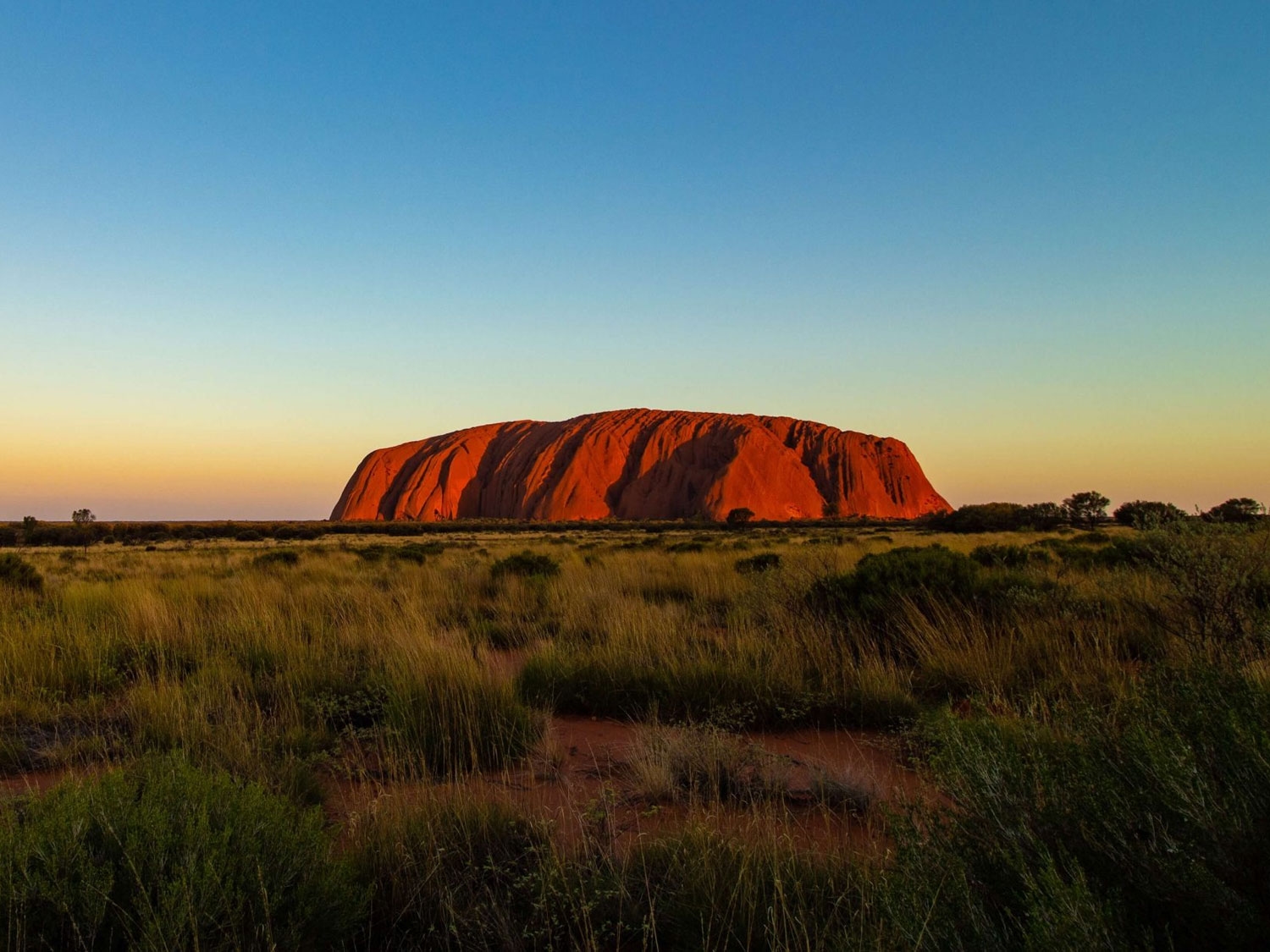 Red sandstone monolith glowing at sunset, surrounded by green desert vegetation under a clear blue sky.