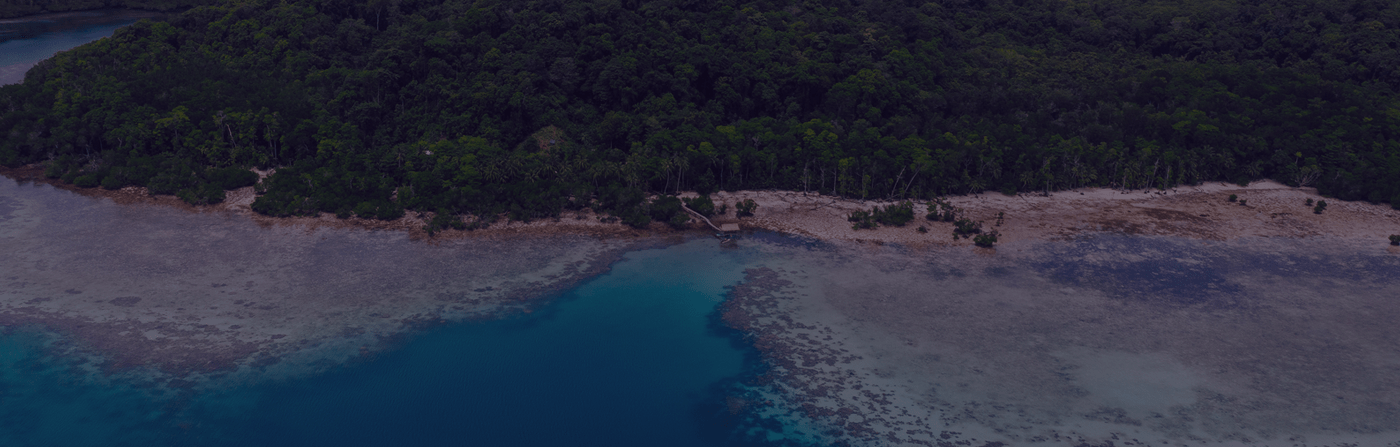 Aerial view of a forested coastline with clear blue water and a small wooden dock.